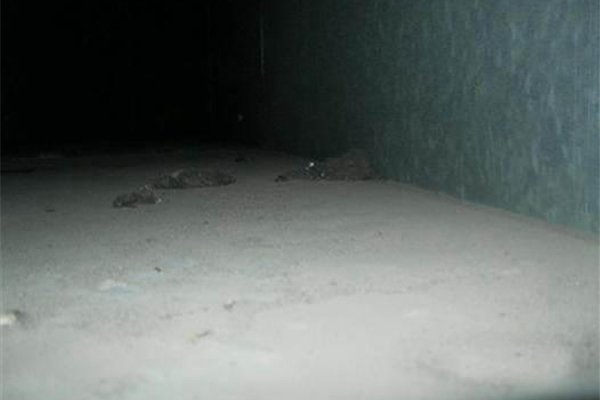 風(fēng)管清洗前 風(fēng)管清洗前